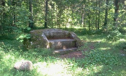 Image 005