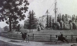 Image 005