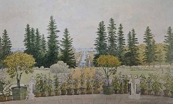 Image 005